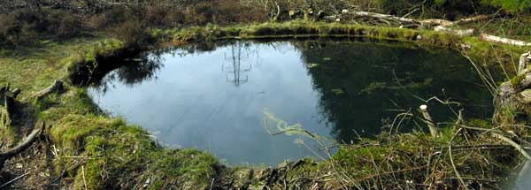 Torwood Blue Pool