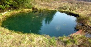Torwood Pool looking blue
